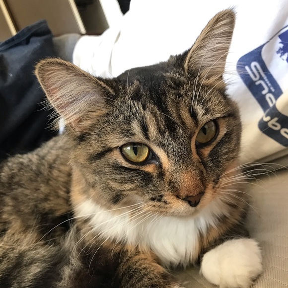 Meet your Posher, Kaylee - Picture 1 of 1